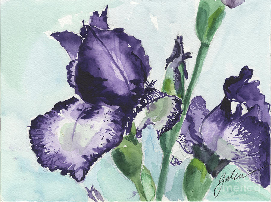 Iris Painting - Iris by Galen Hazelhofer