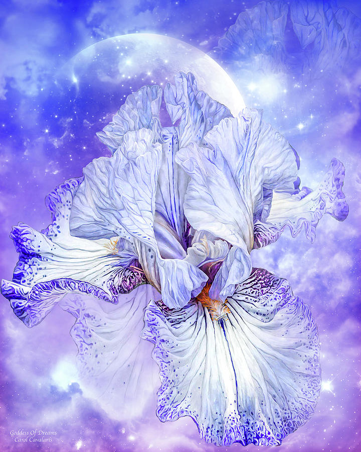 Iris - Goddess Of Dreams Mixed Media by Carol Cavalaris
