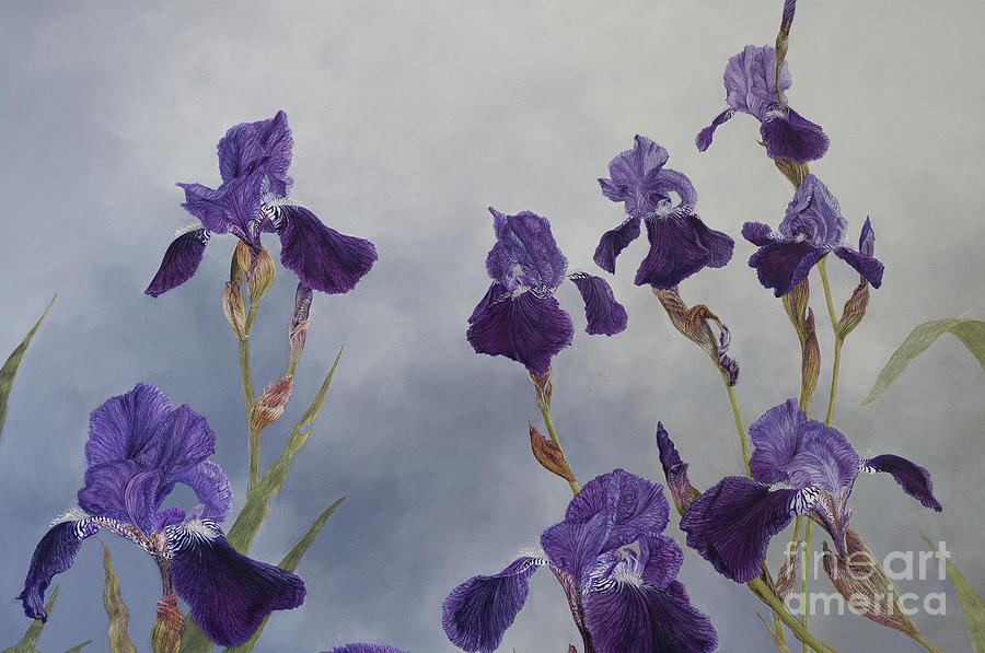 Iris hybrida  detail, 2015 Painting by Odile Kidd