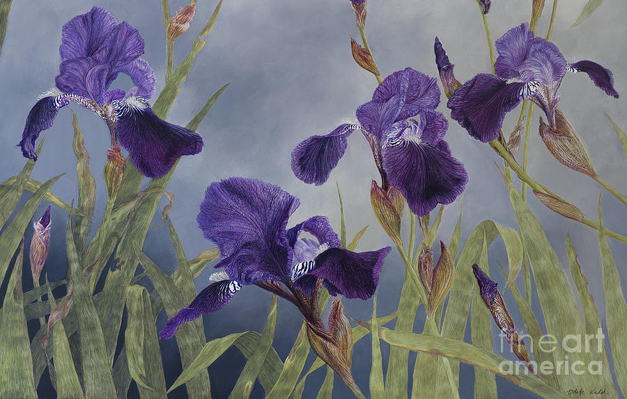 Iris Hybrida  Detail Painting by Odile Kidd