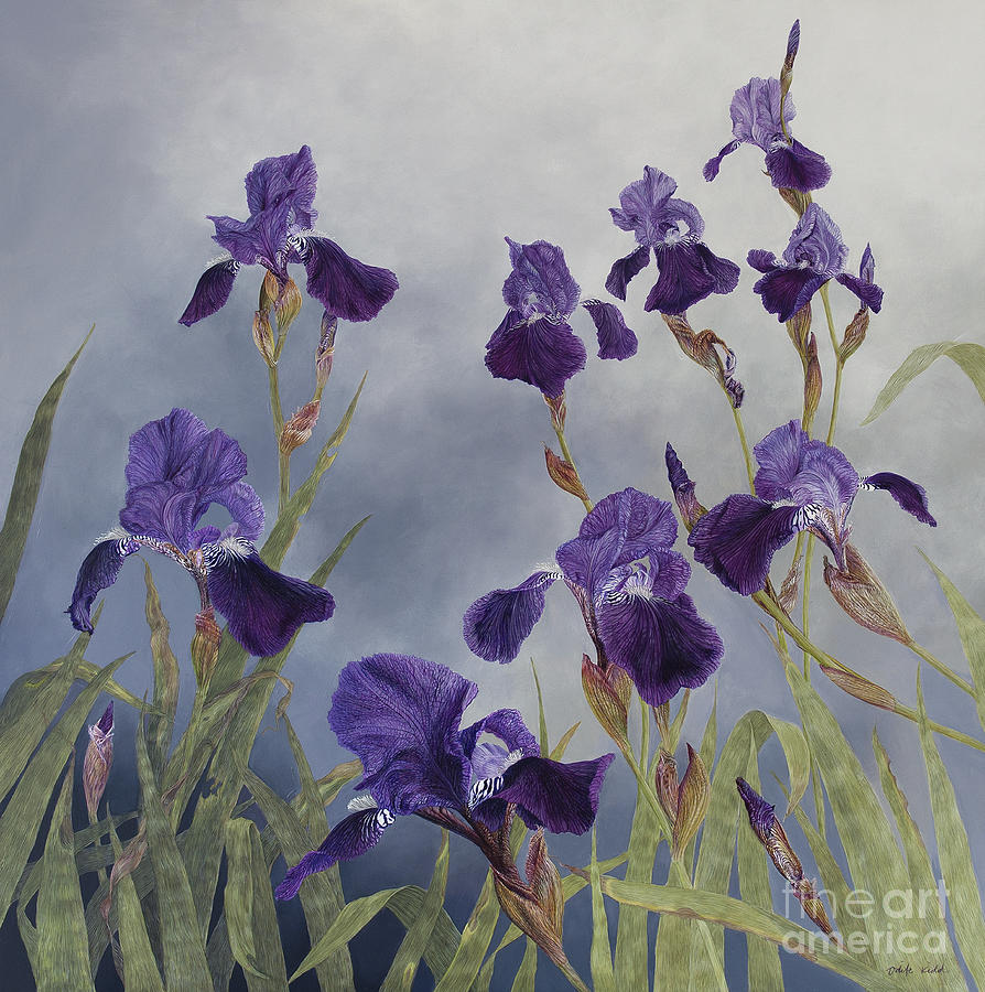  Iris hybrida  Painting by Odile Kidd