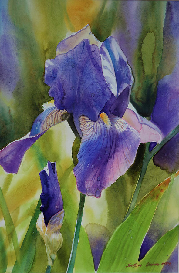 Iris Painting - Iris I by Svetlana Orinko