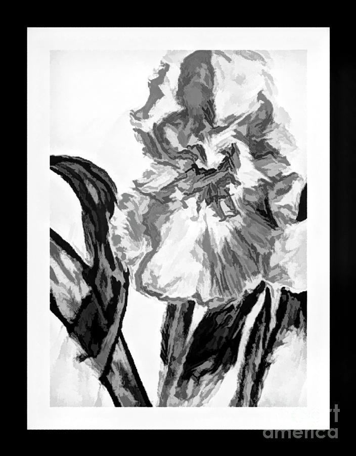 Iris In Black And White Painting Digital Art
