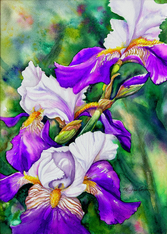 Iris in Bloom Painting by Patricia Allingham Carlson - Fine Art America