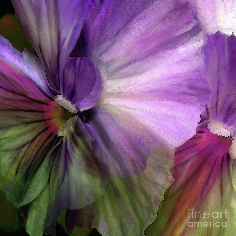 Iris Ombre Painting by Mindy Sommers