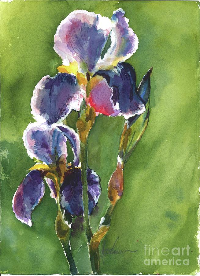 Iris Painting by Susan Blackaller-Johnson