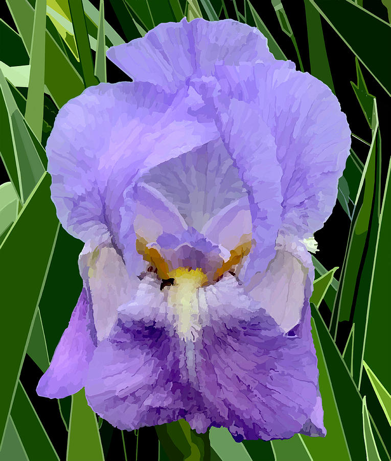 Iris Up Close Digital Art by Jamie Downs - Fine Art America