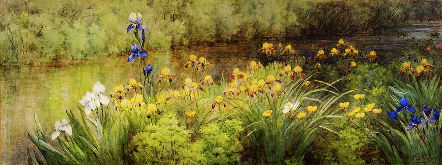 Irises Along The River Painting by Mountain Dreams