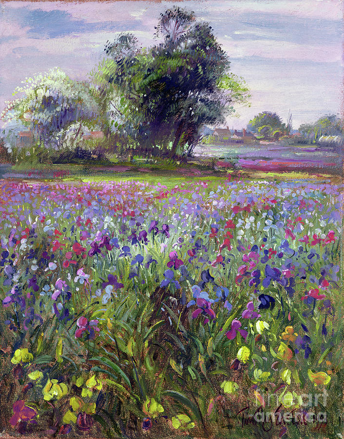 Irises And Distant May Tree Painting by Timothy Easton