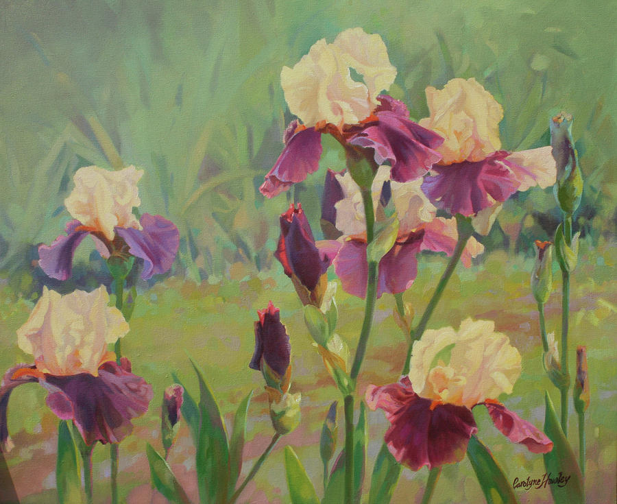 Irises Painting by Carolyne Hawley