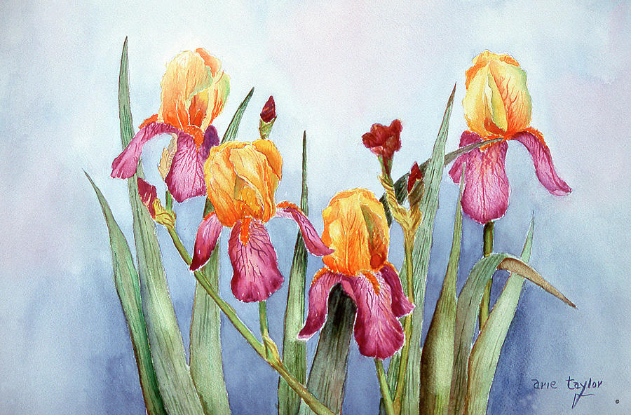 Flower Painting - Irises Four by Arie Reinhardt Taylor