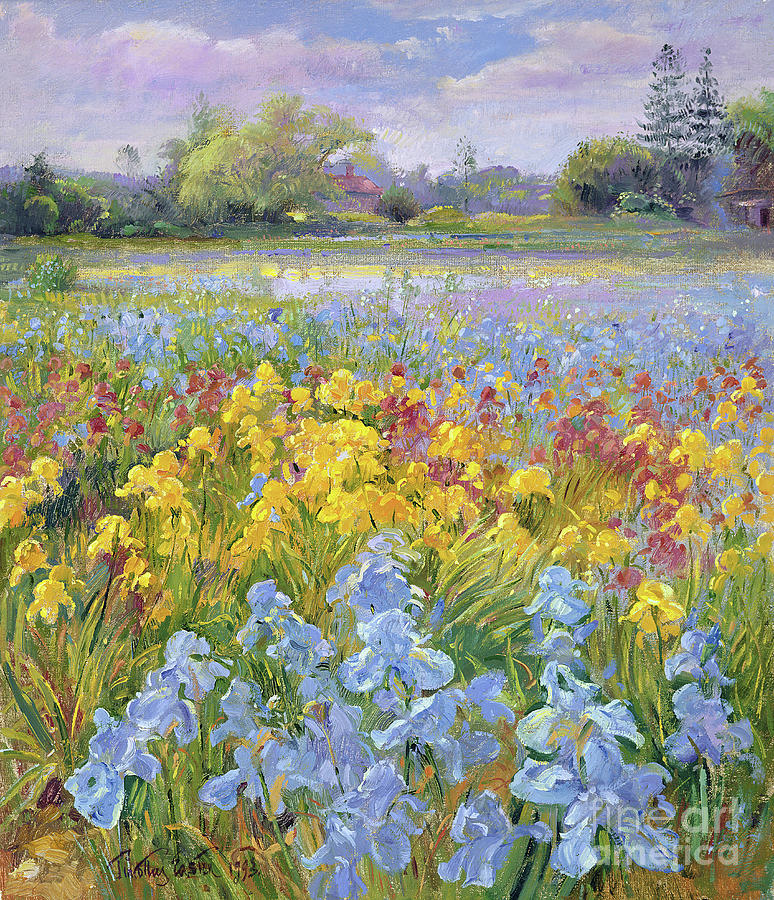 Irises, Willow And Fir Tree Painting by Timothy Easton