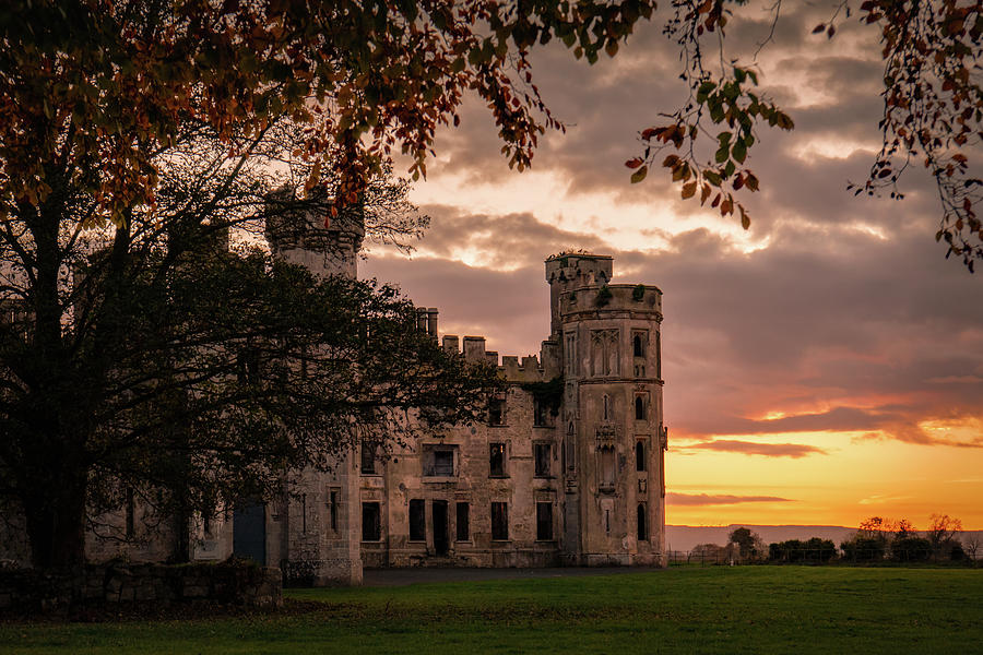 Irish Castle - Ducketts Grove Photograph