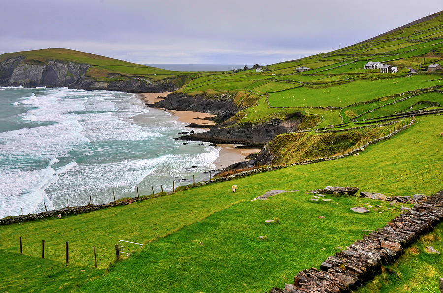 Irish Coastal Pastures Photograph by Craig Gordon