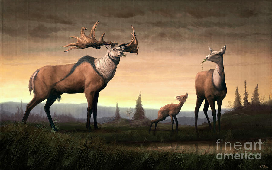Prehistoric Photograph - Irish Elk Family by Mark P. Witton/science Photo Library