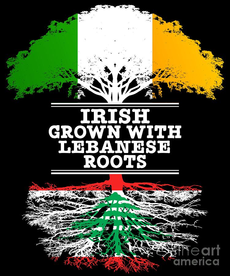 Flag Digital Art - Irish Grown With Lebanese Roots by Jose O