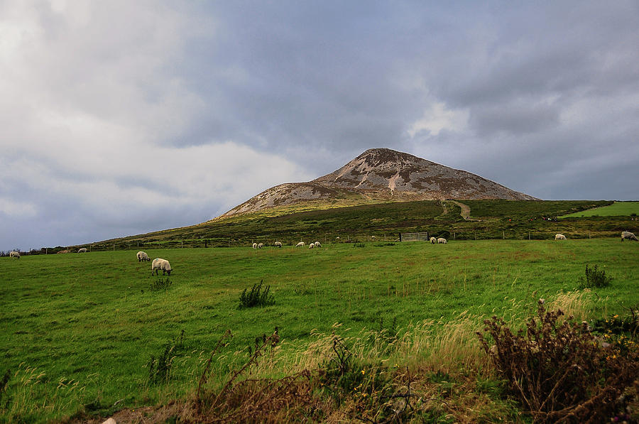 Irish Idyll. Sugarloaf Hill 1 Photograph by Jenny Rainbow