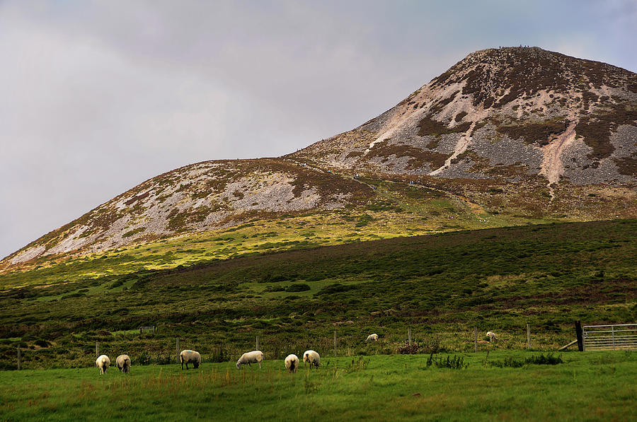 Irish Idyll. Sugarloaf Hill 2 Photograph by Jenny Rainbow
