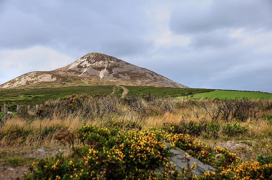 Irish Idyll. Sugarloaf Hill 3 Photograph by Jenny Rainbow