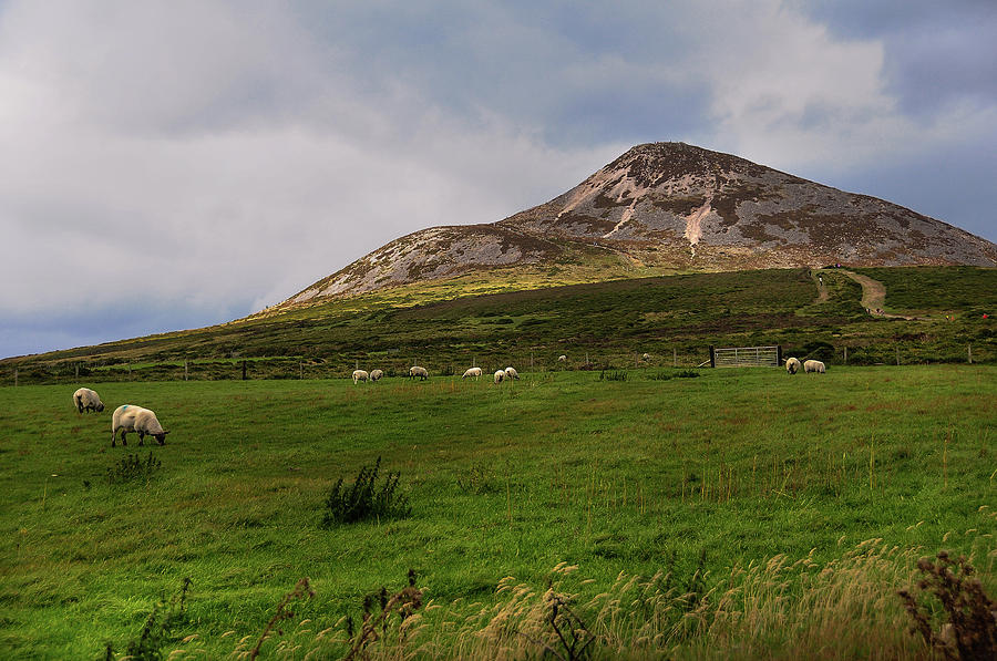 Irish Idyll. Sugarloaf Hill Photograph by Jenny Rainbow