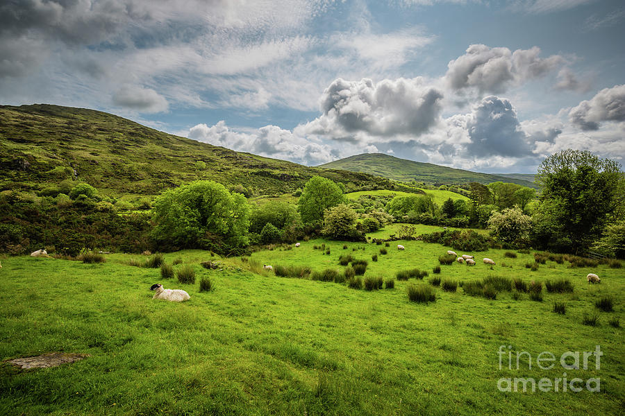Irish Landscape Photograph by Eva Lechner