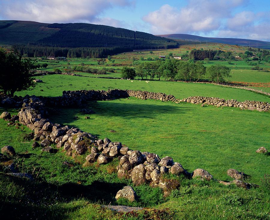 Irish Landscape With Stone Walls And Photograph by Design Pics