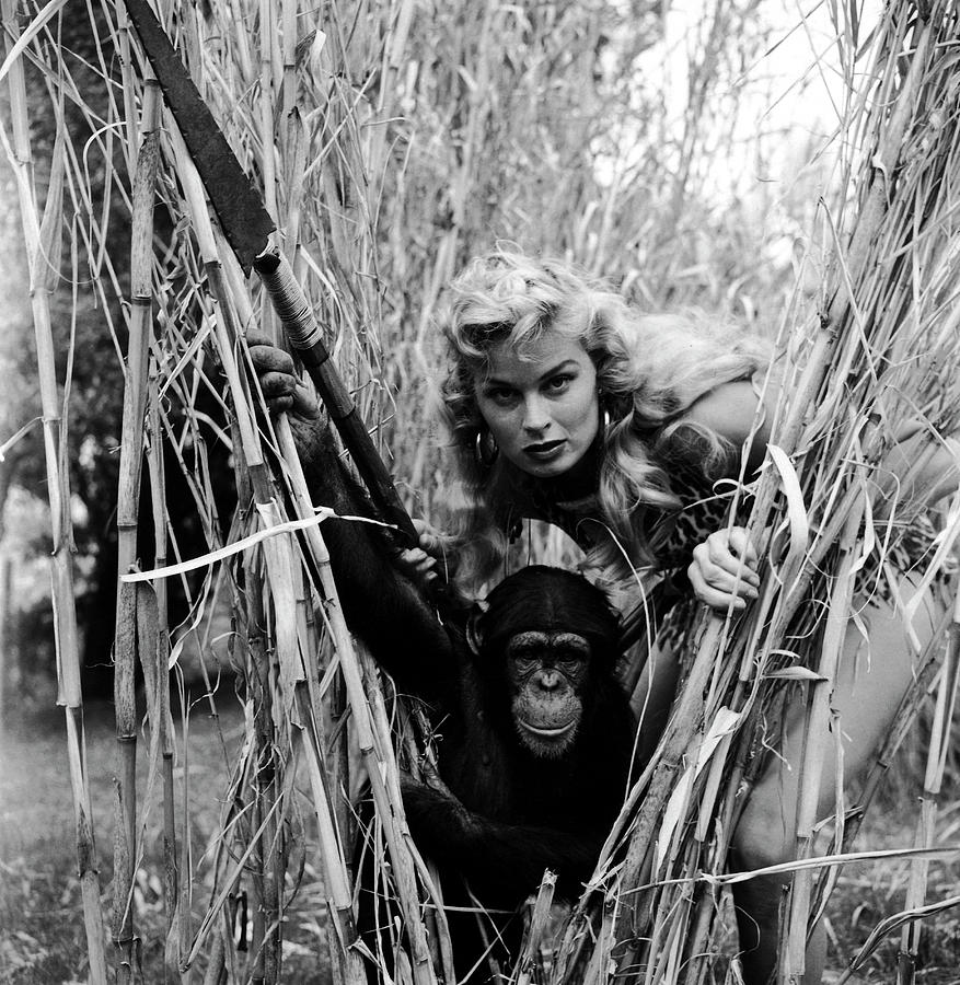 Black And White Photograph - Irish McCalla Is Sheena, Queen Of The Jungle by Loomis Dean