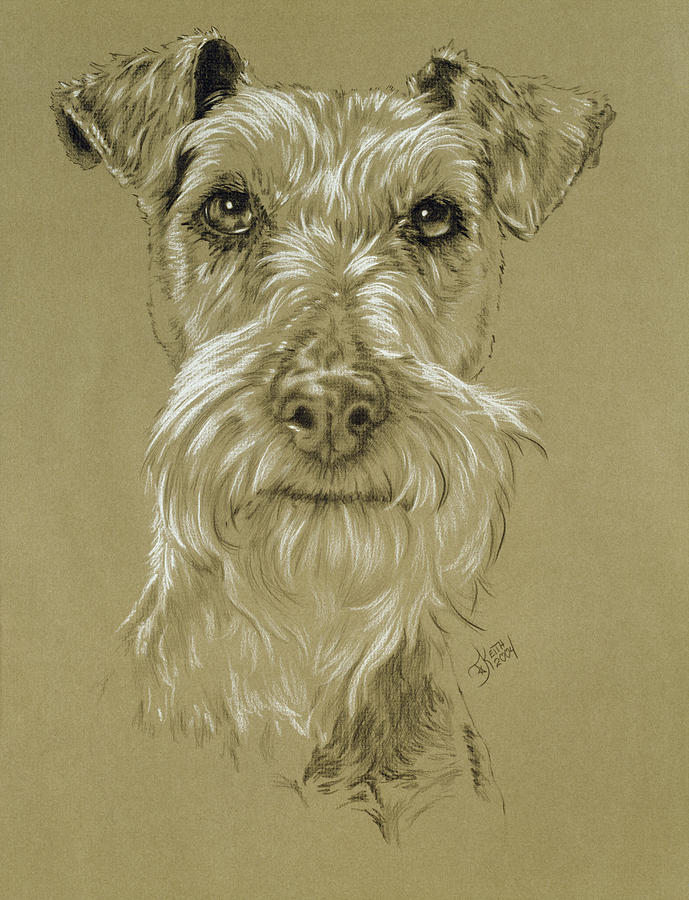 Dog Painting - Irish Terrier by Barbara Keith
