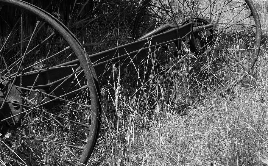 Black And White Photograph - Iron And Hay by Brenda Petrella Photography Llc