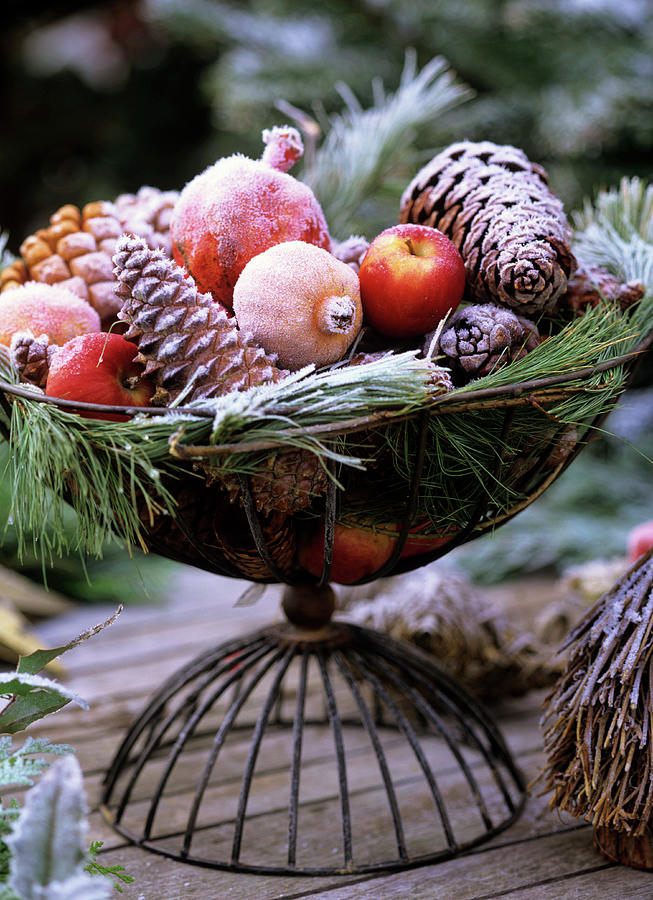 Iron Basket With Winter Decoration Photograph by Friedrich Strauss