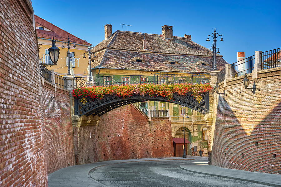 Flower Photograph - Iron Bridge, Liars Bridge, Sibiu by Jan Wlodarczyk