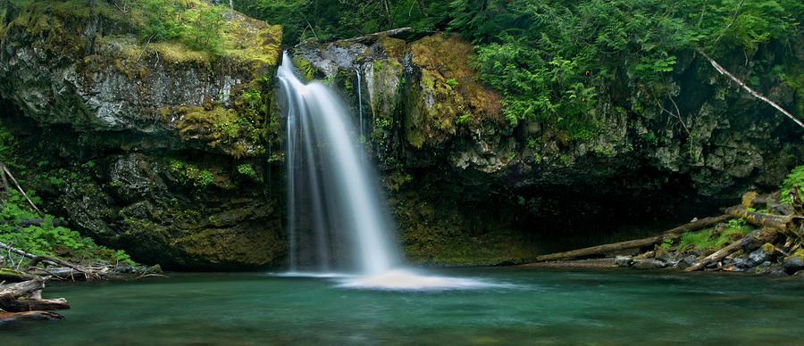 Iron Creek Falls Photograph by Danielle D. Hughson