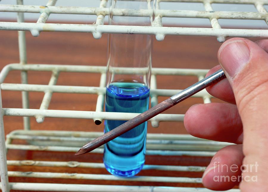 Iron In Copper Sulphate Solution Photograph by Andrew Lambert Photography/science Photo Library