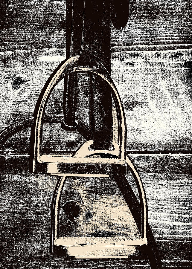 Irons Photograph by Dressage Design