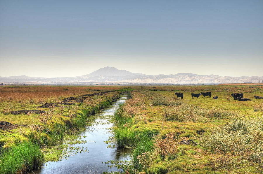 Irrigation Canal In The Country Hdr Photograph by Toddarbini