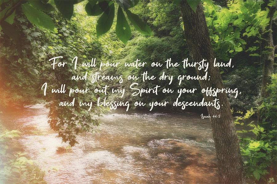 Isaiah 44 3 #bibleverse #scripture Photograph by Andrea Anderegg
