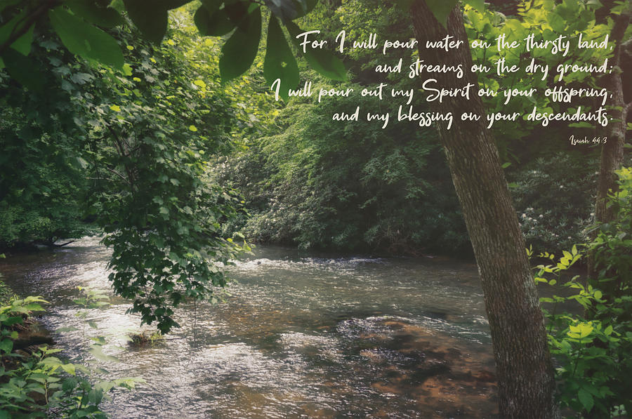 Isaiah 44 3 II #bibleverse #scripture  Photograph by Andrea Anderegg