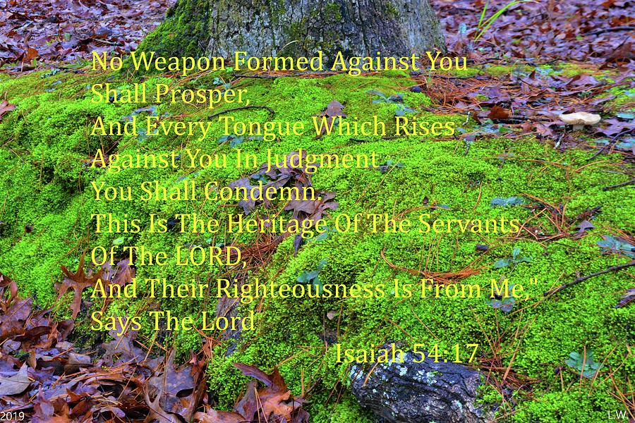 Isaiah 54 17 Moss And Leaves Ground Cover Photograph by Lisa Wooten