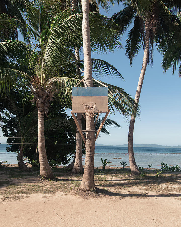Island Basketball Net On Palm Tree Photograph by Cavan Images | Fine ...