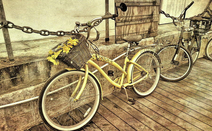 Transportation Photograph - Island Biking by JAMART Photography