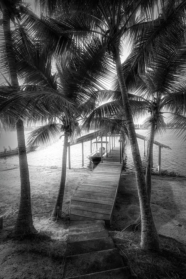 Island Dock Under the Palms Photograph by Debra and Dave Vanderlaan