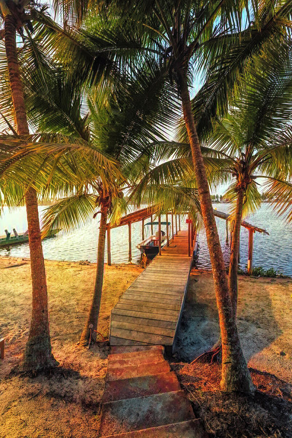 Island Dock Under the Palms Early Light Photograph by Debra and Dave Vanderlaan