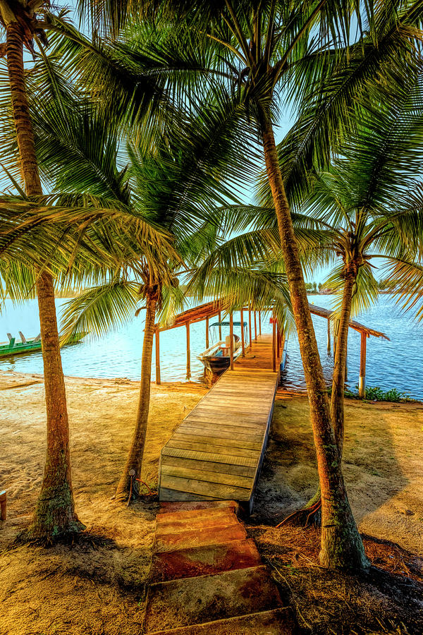 Island Dock Under the Palms in HDR Detail Photograph by Debra and Dave Vanderlaan