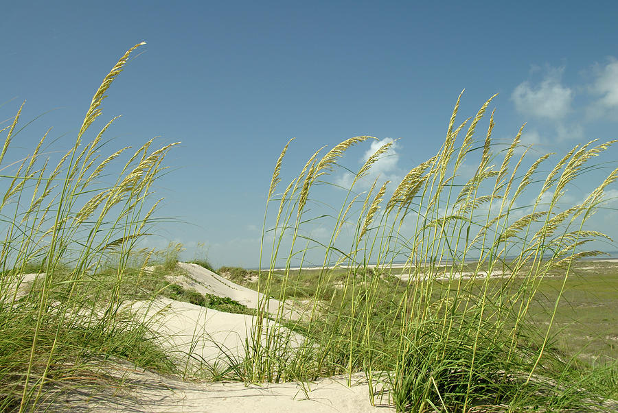 Island Dunes Through Natural Coastal Photograph by Zview