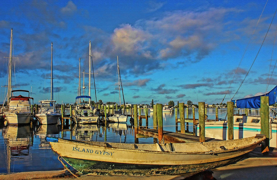 Island Gypsy Photograph by HH Photography of Florida