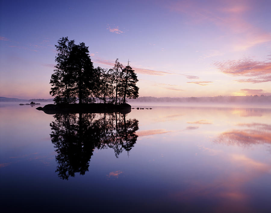 Island In Lake, Morning Light, Sweden by Roine Magnusson
