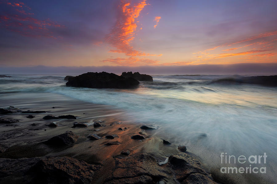 Sunset Photograph - Island in the Fog by Michael Dawson