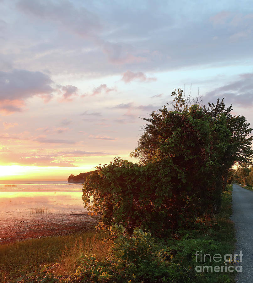 Island Line Trail Sunset via Colchester Vertical Photograph by Felipe Adan Lerma