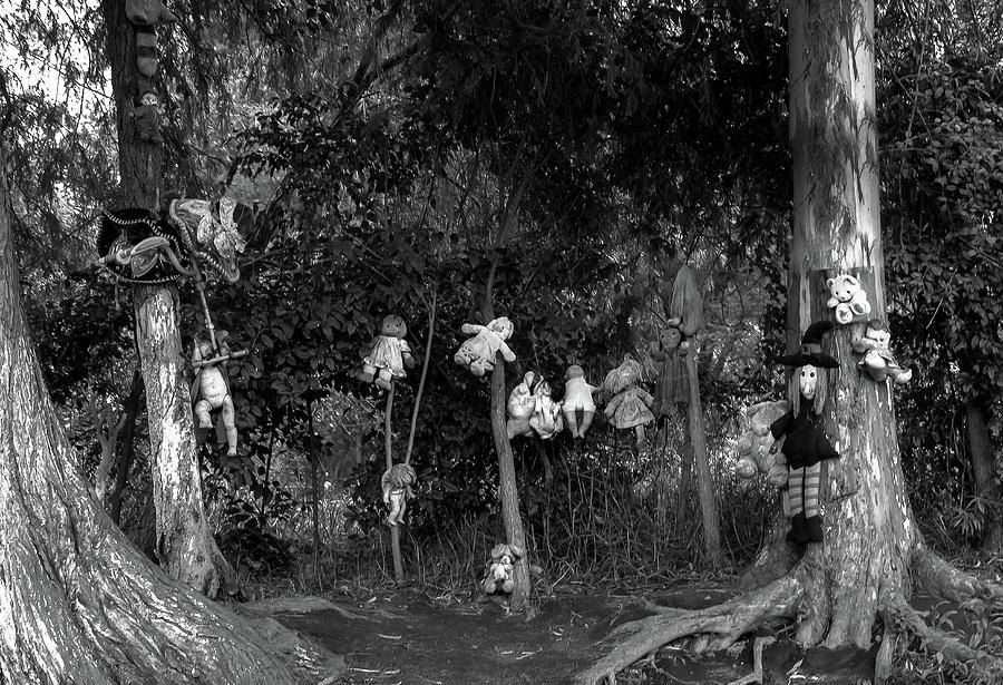 Island of the Dolls in Black and White Photograph by Amy Sorvillo