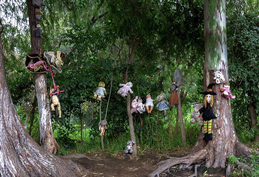 Island of the Dolls, Mexico Photograph by Amy Sorvillo